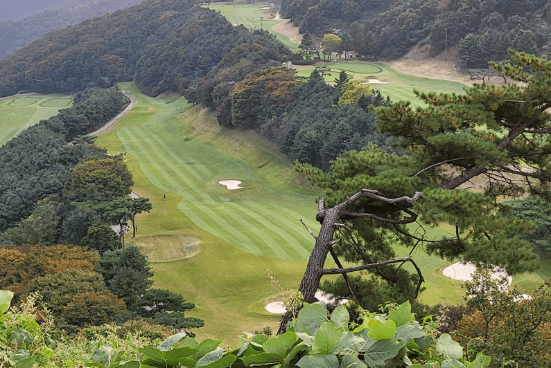 로제비앙CC 정상에서내려다본 코스전경