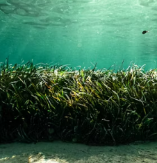 갑상선 기능 저하증에 좋은 음식 영양제 식단