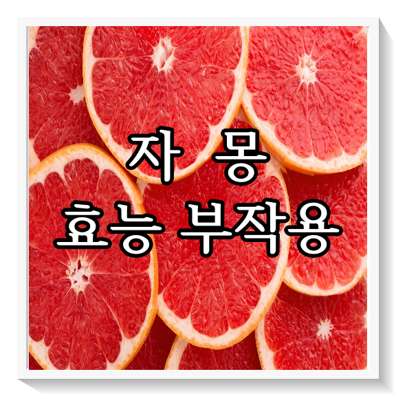 자몽 효능 부작용