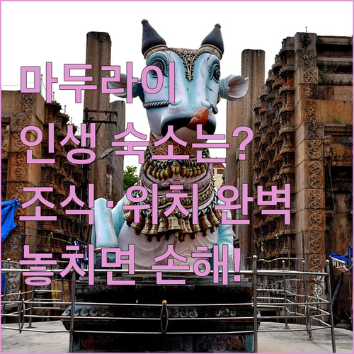 인도 마두라이 숙소 추천 TOP 4 ..