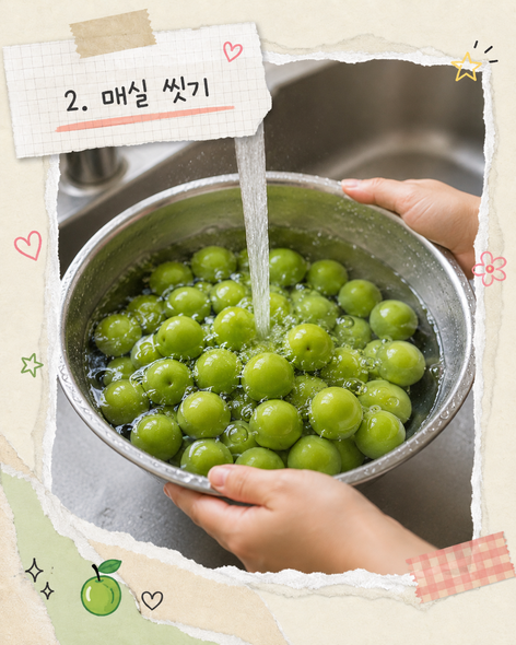 매실장아찌 담그는법