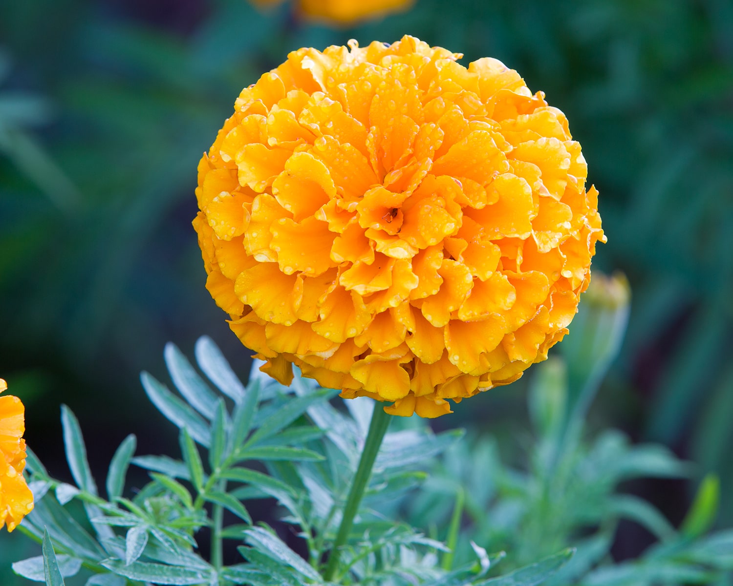 구리 한강공원- 34