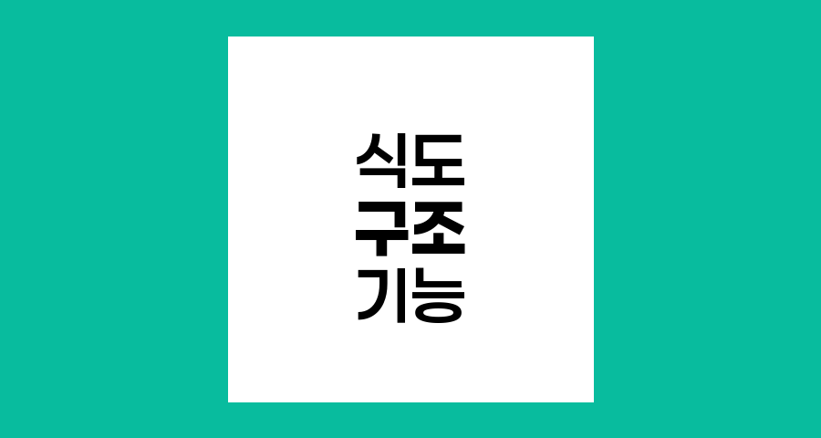 식도암 예방을 위한 식도 구조와 기능 이해하기