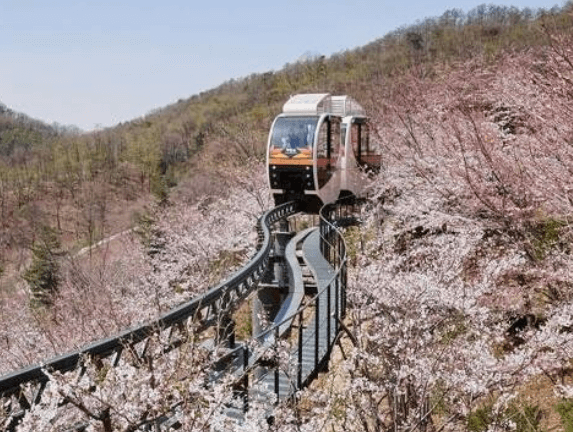 2025 화담숲 모노레일 예약 야놀자