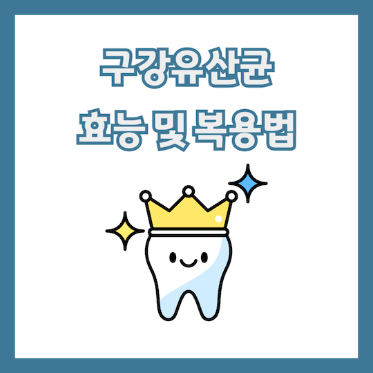 구강유산균-효능-복용법