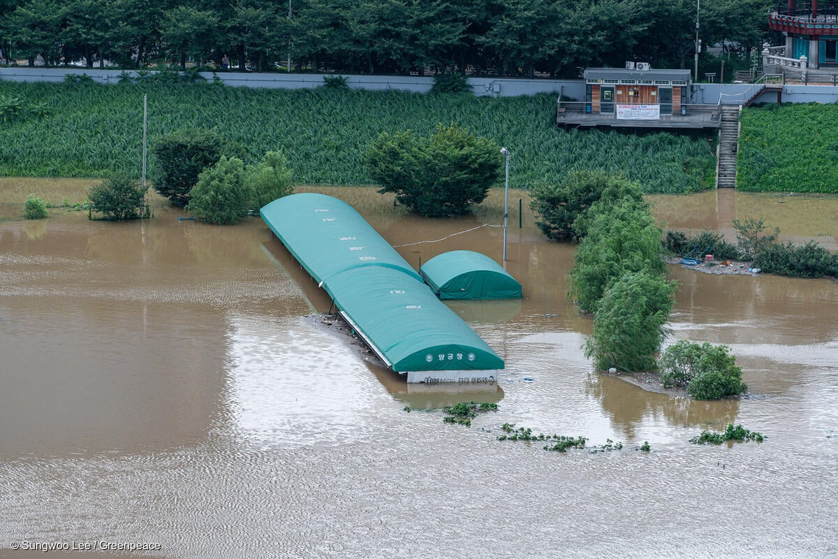 54일간의 긴 장마가 남긴 흔적. © Sungwoo Lee / Greenpeace