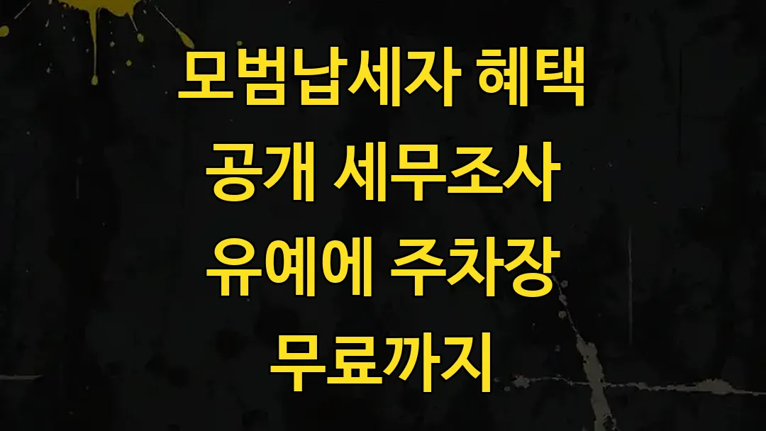 모범납세자 혜택 공개 세무조사 유예에 주차장 무료까지