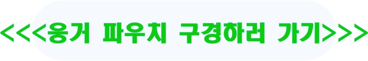 웅거 파우치