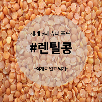 렌틸콩