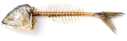 생선 뼈가 있다.