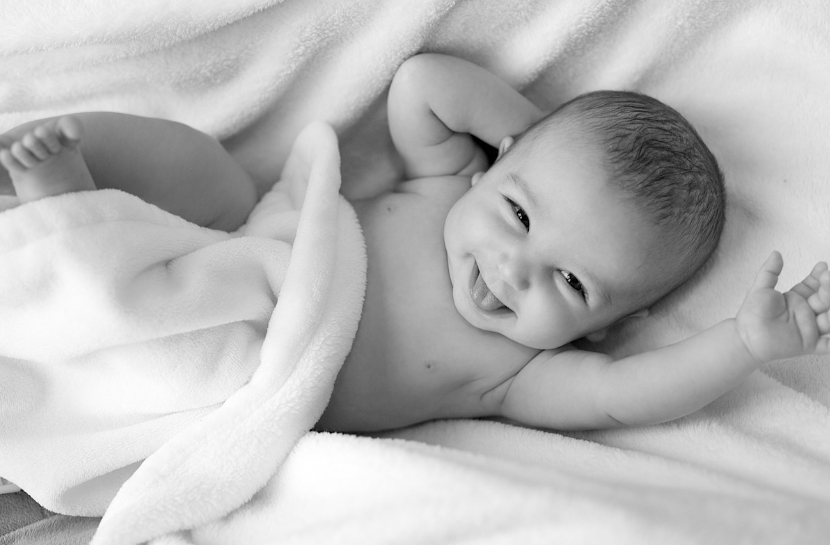 장생에 대한 설명