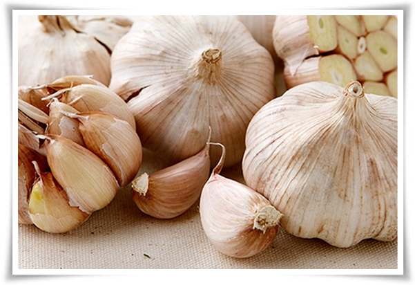 "10월에 심기 좋은 작물 추천" 10월, 새로운 계절을 준비하는 시간...