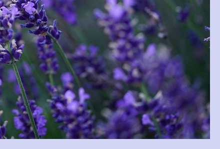 6월 국내 여행지 추천