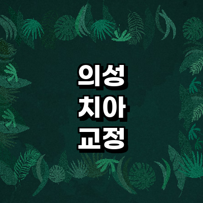 의성군 교정 치과