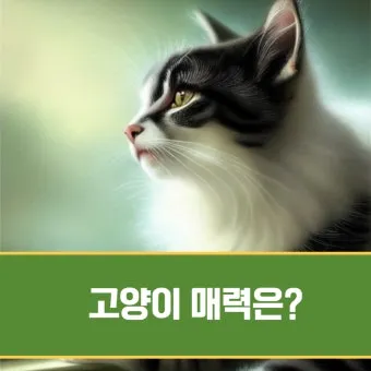 작은고양이 쪼꼬미 냥이 매력 탐구 귀여움 분석_4
