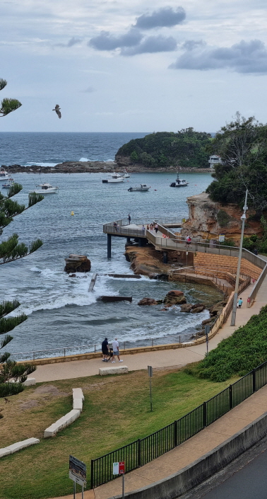 테리걸 호텔 크라운 플라자