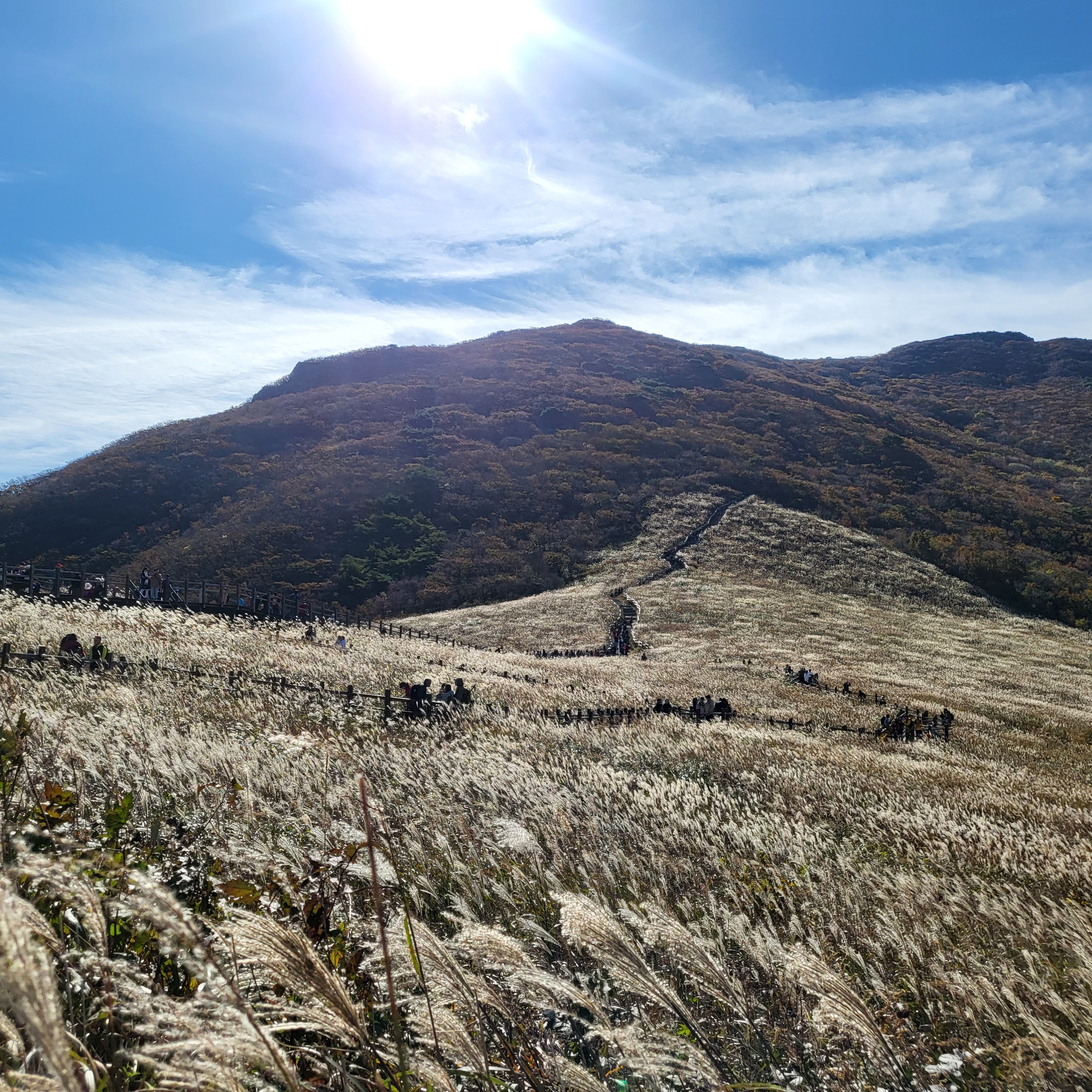 울산 간월재 정산