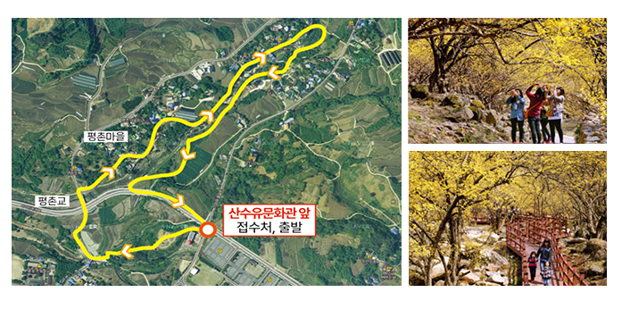 구례 산수유축제