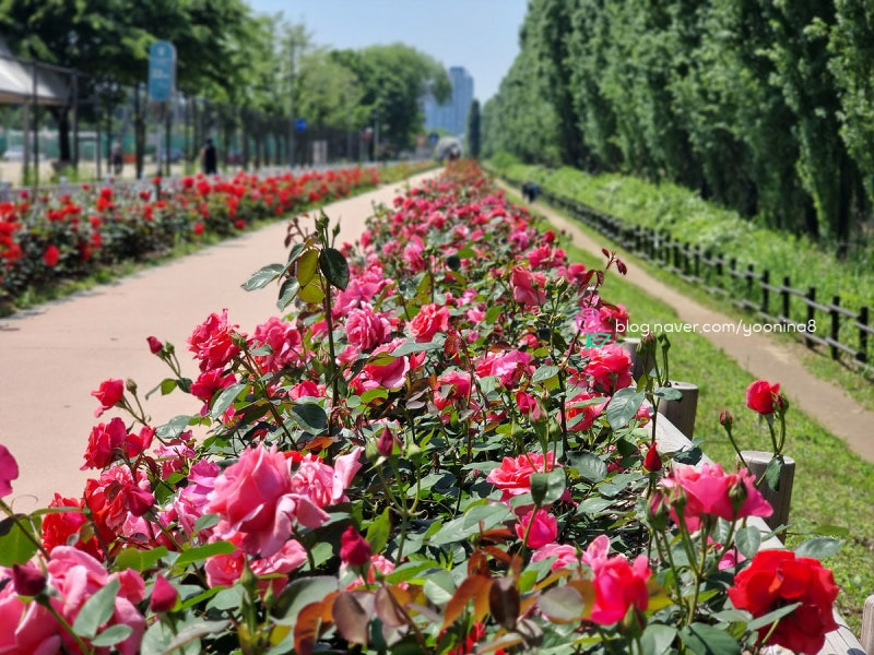 서울둘레길 4코스