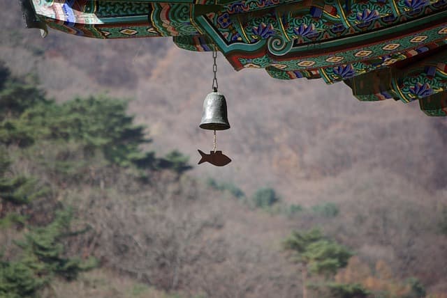 소리로 공간을 인식하는 뇌의 능력― 우리는 듣는 것으로도 방향과 거리, 크기를 느낀다