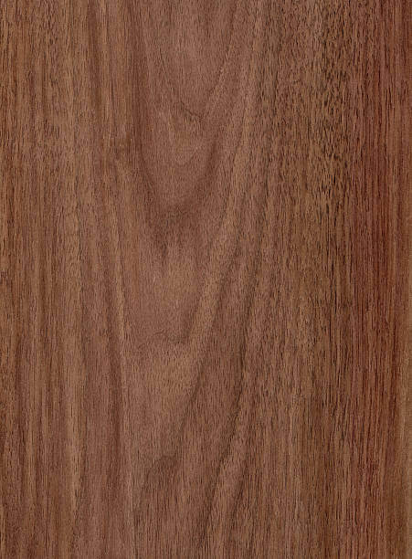 고급 목재의 대명사인 월넛 목재의 단면 사진