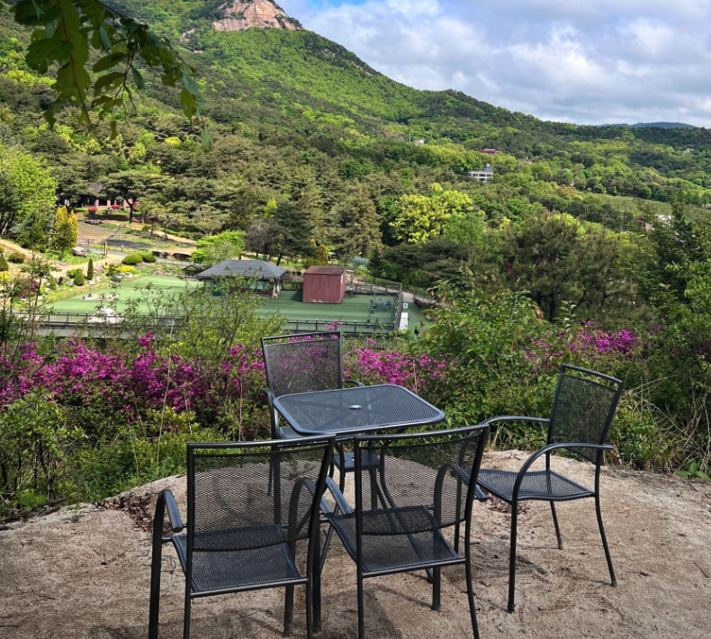 낭만등불축제 일정 체험 즐길거리 주차장 근처 맛집 정보