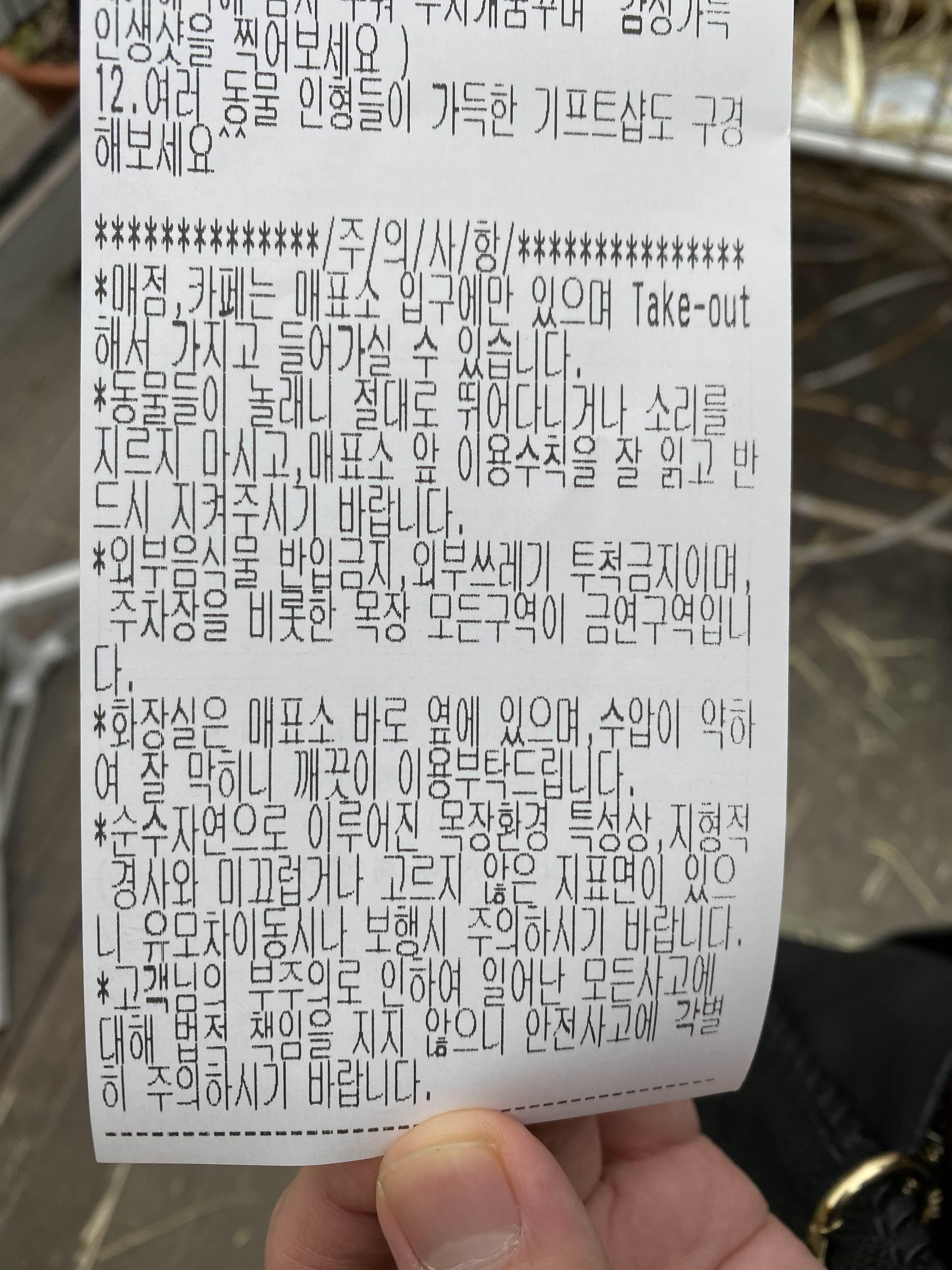 티켓