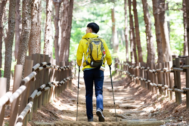 홀로 산행