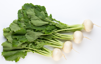 순무의 영양과 효과 효능, 조리법, 보존법