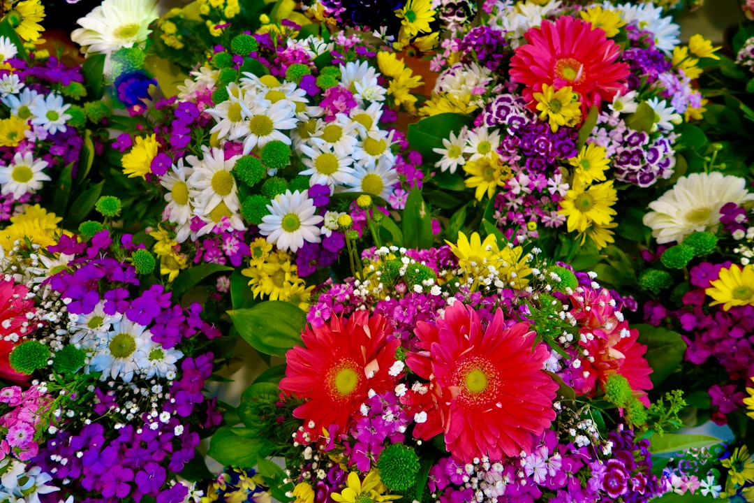 Jeju Summer Flower Festival