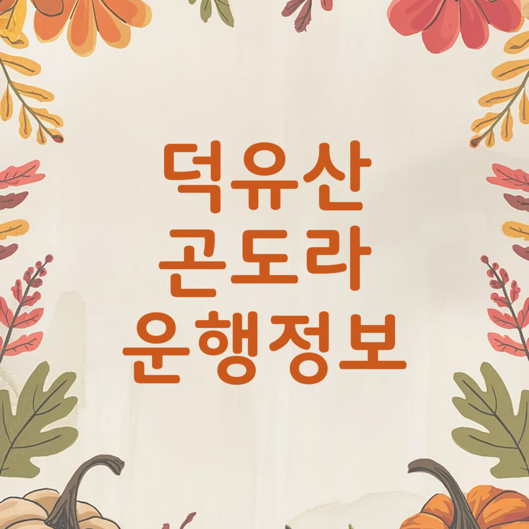 무주 덕유산 곤도라 예약 및 요금