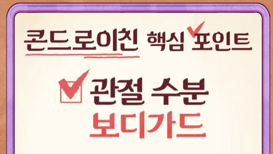 콘드로이친 효능