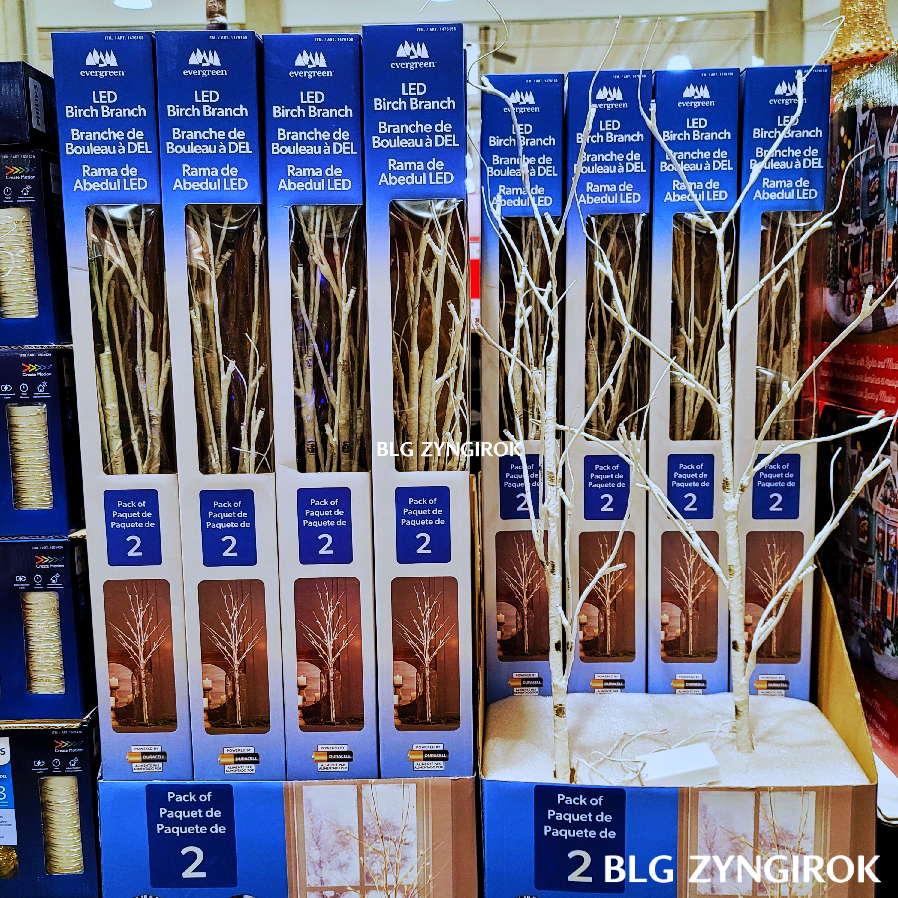 에버그린-LED-장식용가지-모습이다.