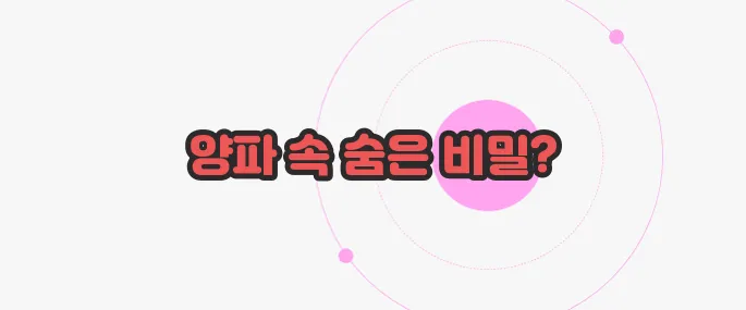 양파 효능 궁금한 점, 풀어보죠