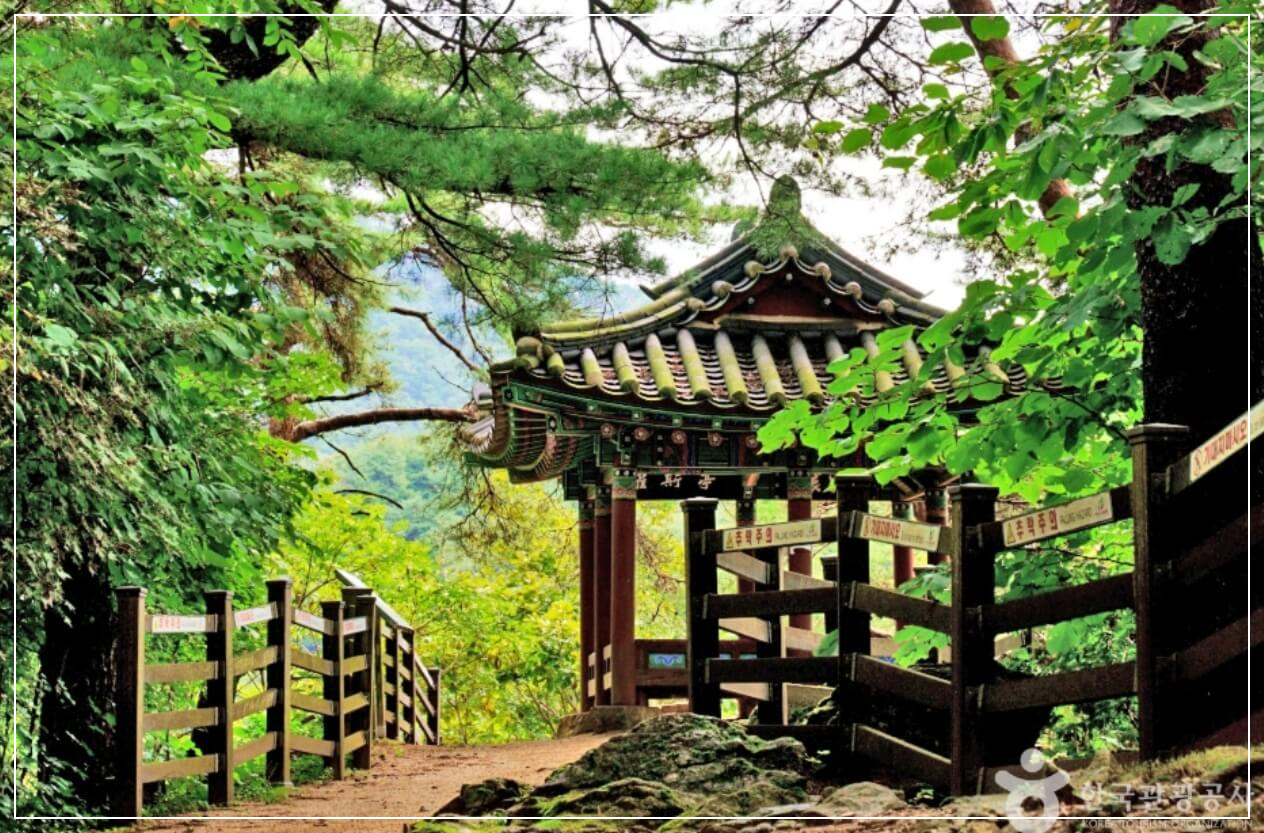 제천 가볼만한곳 베스트10 탁사정