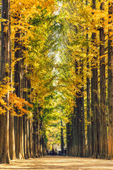 2023 단풍여행 시기 지역별 명소