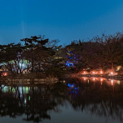 서울야경명소 창경궁 물빛연화