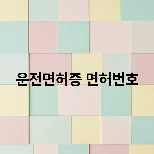 운전면허증 면허번호