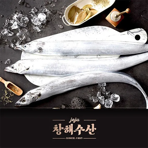 제주 갈치 낚시 물때 포인트_4