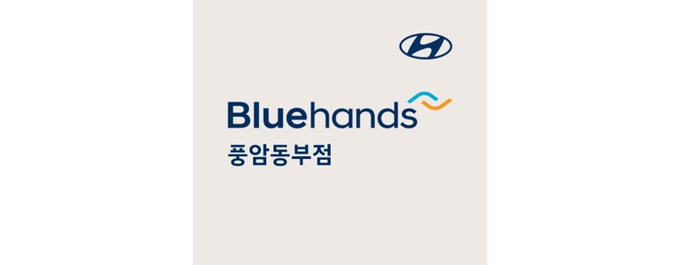 광주 서구 블루핸즈