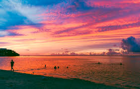 김해공항 리무진 버스 시간표