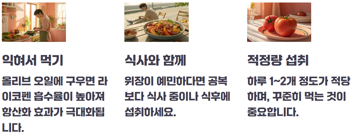 공복 토마토 섭취 효능과 부작용