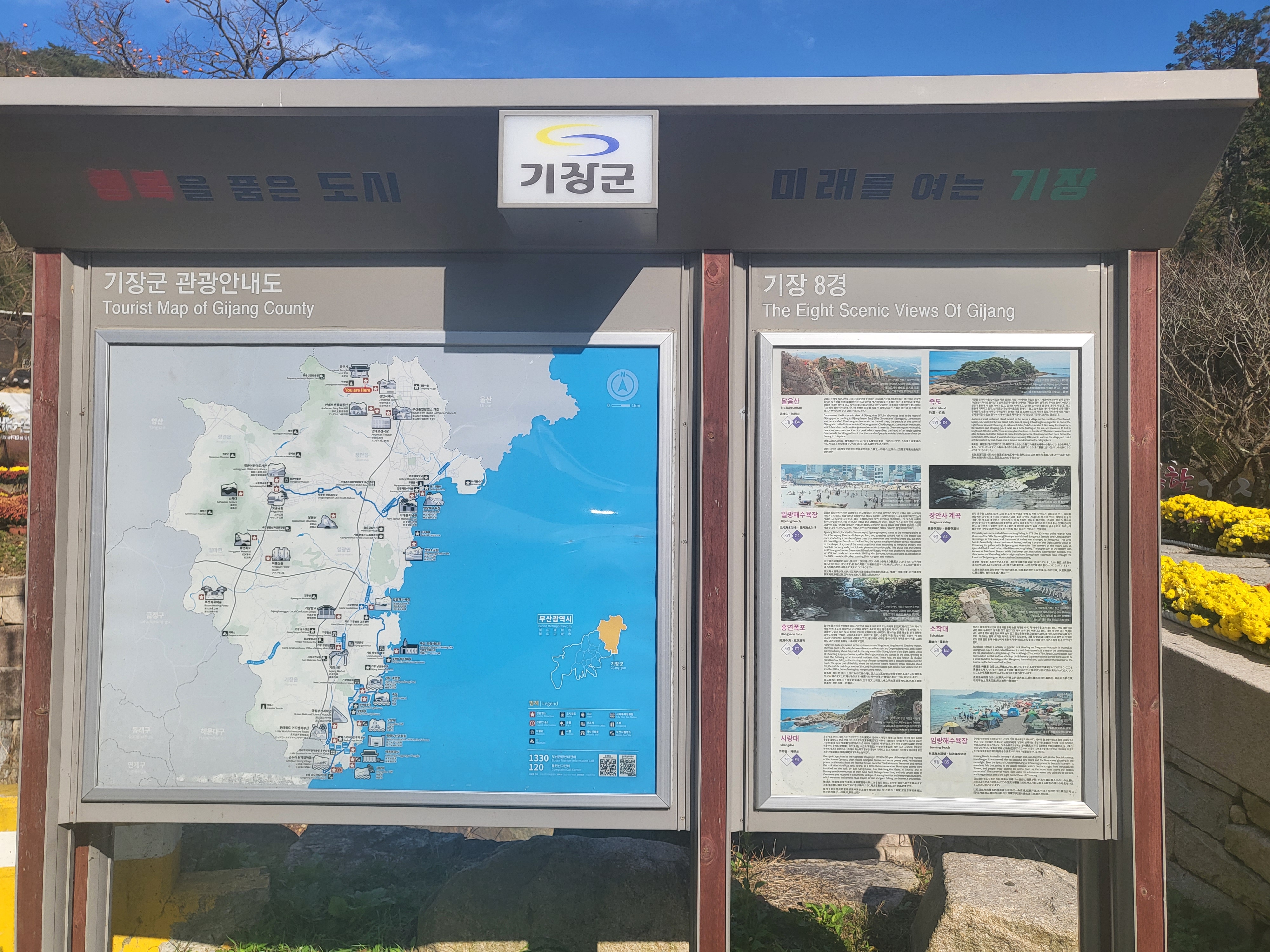 국화 향기 가득한 부산 기장 장안사 제 7회 기장 국화분재전시회가 열렸습니다.