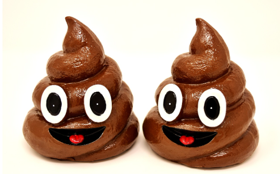 똥 만지는 꿈해몽