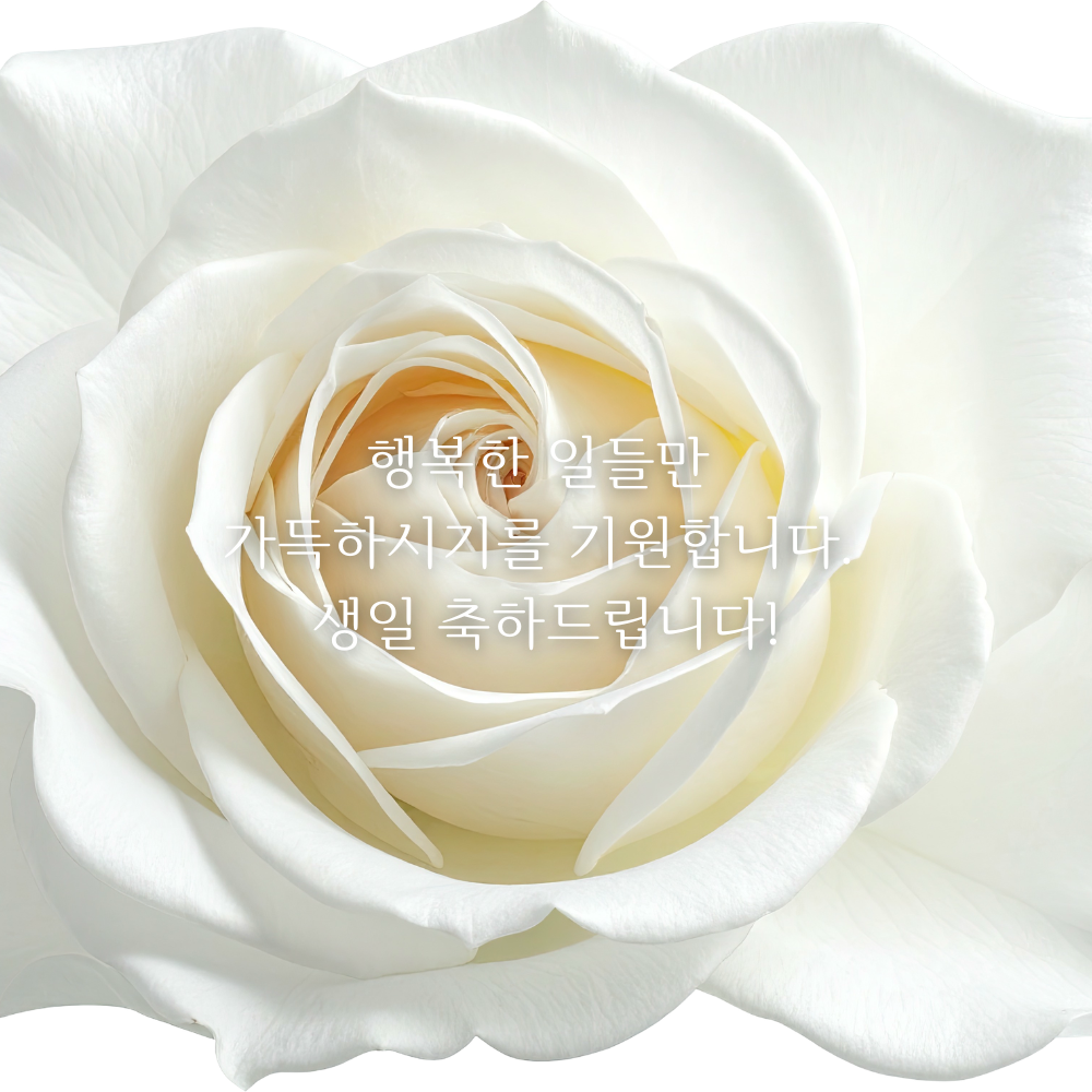 생일 축하 메세지 이미지 생일 축하 꽃다발 이미지 문구 모음