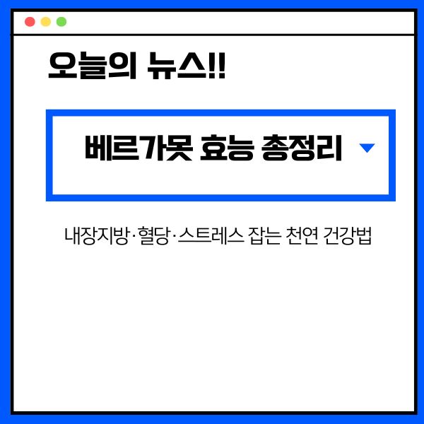 베르가못 효능 총정리: 내장지방·혈당·스트레스 잡는 천연 건강법