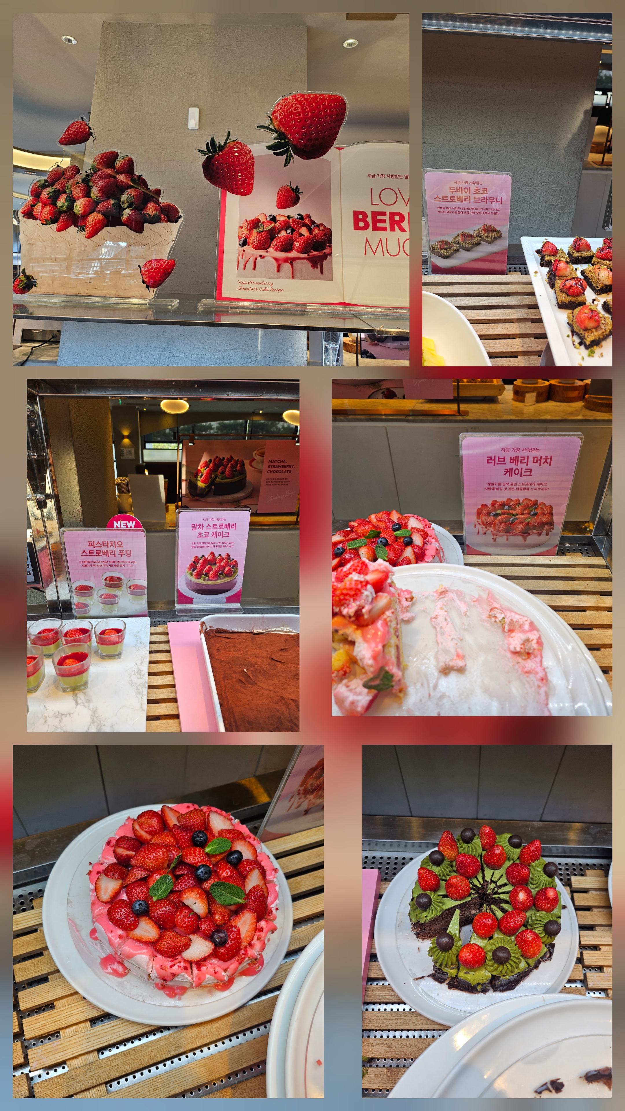 [판교 맛집] 빕스 딸기 축제 정복! 판교점에서 즐기는 달콤한 딸기 파티 🍓