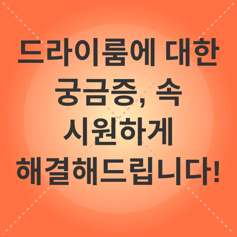 고양이 드라이룸_4