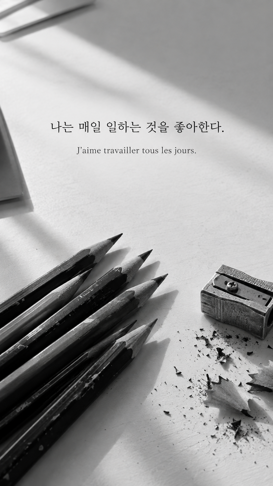 가지런한 연필 배경에 담은 기욤 뮈소의 말: 나는 매일 일하는 것을 좋아한다.