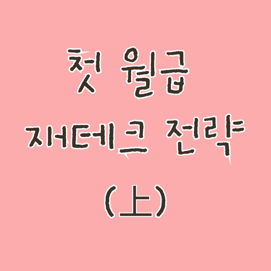 첫 월급 재테크 전략(上)